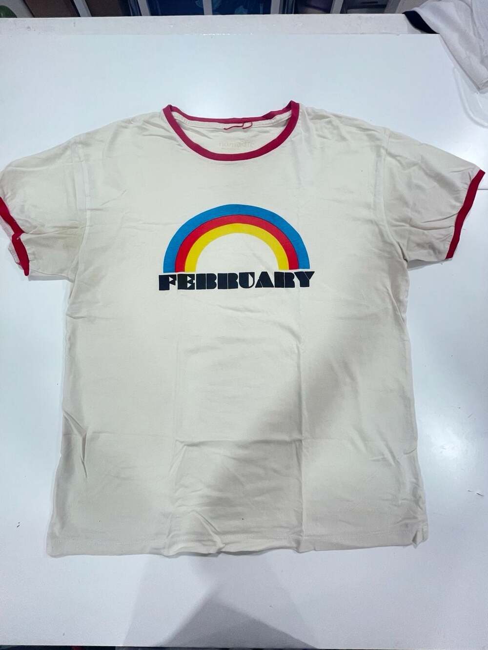 Nomadic February Pieces Horoscope Rainbow Graphic Ringer T-Shirt 23